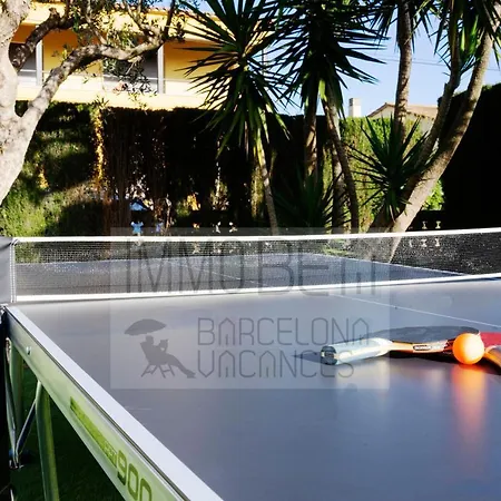 Bv-ve 001-villa Crock Star *